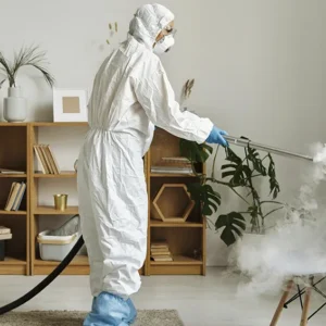 limpieza-con-vapor limpieza-con-vapor